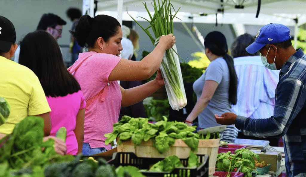 Tribuna article on Danbury Farmers' Market